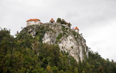 Bled Castle, Slovenya
