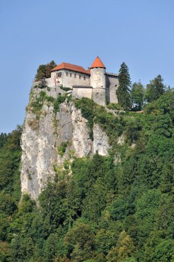 Bled Castle, Slovenya