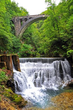 Bled gorge, Slovenya