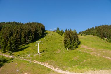 Golte orman, Slovenya