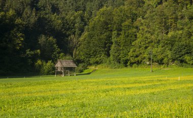 Bohinj, Jereka, Slovenya