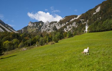 Ljubelj dağın geçmek, doğa, Slovenya