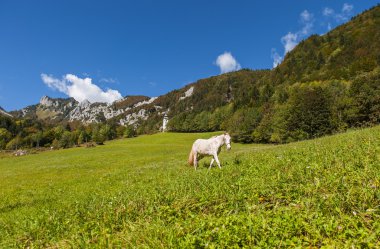 Ljubelj dağın geçmek, doğa, Slovenya