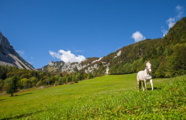Ljubelj dağın geçmek, doğa, Slovenya