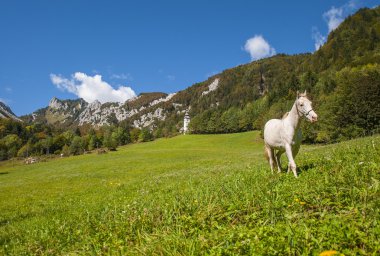 Ljubelj dağın geçmek, doğa, Slovenya