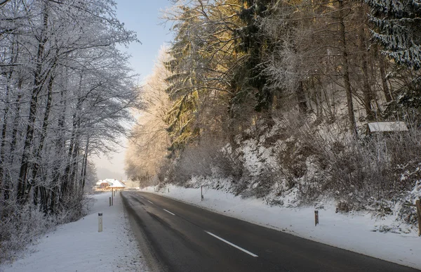 Karlı Tuhinj Vadisi, Slovenya