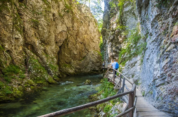 Bled gorge, Blejski vintgar, Eslovénia — Fotografia de Stock