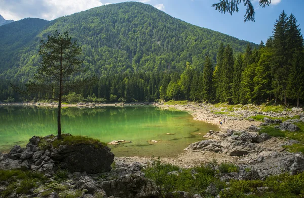 Laghi di fusine / Fusine lakes, Itália — Fotografia de Stock