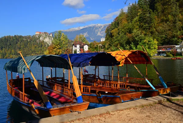 Pletna boat, Slowenien — Stockfoto