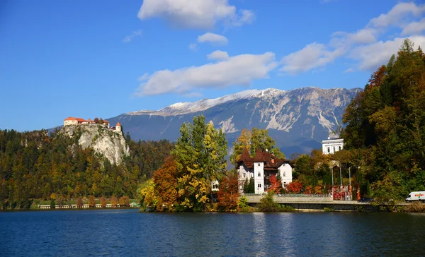 Lacul Bled, Slovenia — Fotografie, imagine de stoc