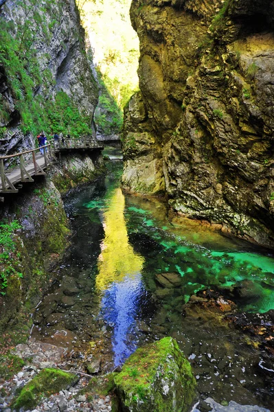 Gorge de Bled, Slovénie — Photo