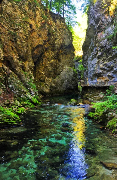 Soutěska Bled, Slovinsko — Stock fotografie