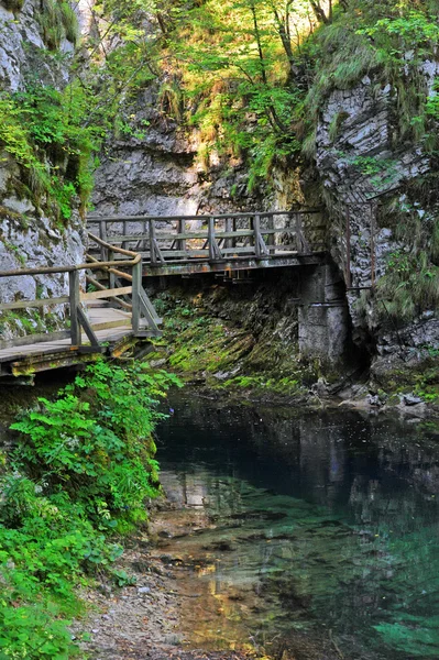 Soutěska Bled, Slovinsko — Stock fotografie