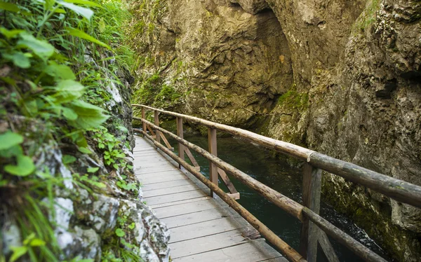 Gorge de Bled, Slovénie — Photo