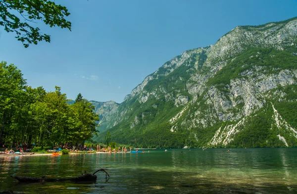 На березі озера Бохінь, Словенія — стокове фото