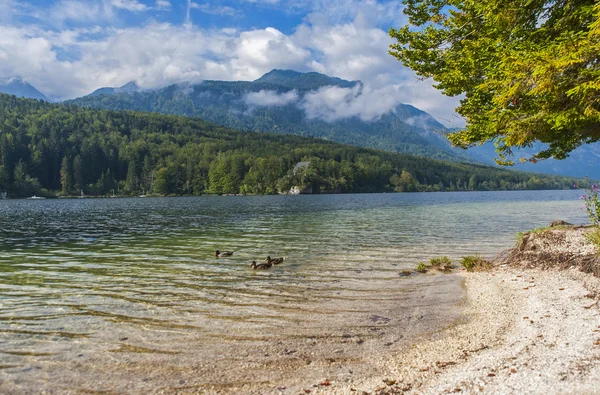 Lago Bohinj, Eslovénia — Fotografia de Stock