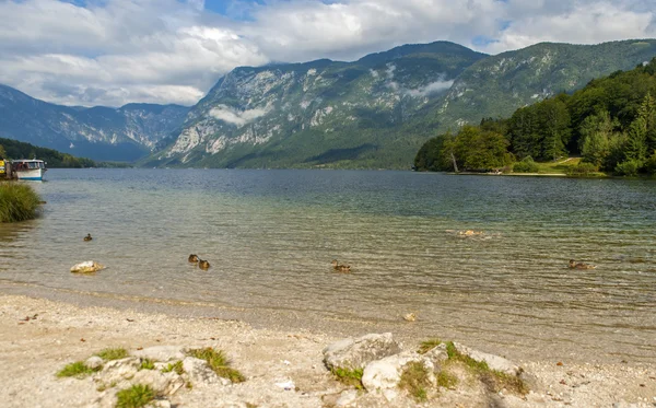 Lago Bohinj, Eslovenia —  Fotos de Stock