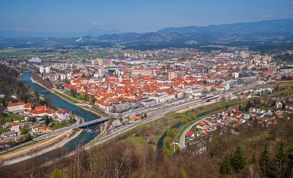 Stad van Celje, Slovenië — Stockfoto