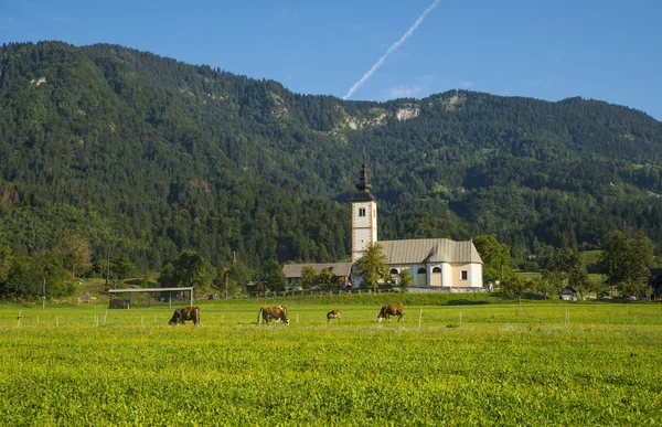 Bohinj, Jereka, Slovenië — Stockfoto