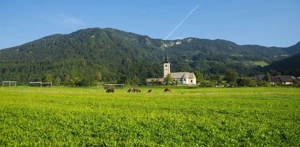 Bohinj, Jereka, Eslovénia — Fotografia de Stock