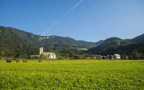 Bohinj, Jereka, Slovenië — Stockfoto