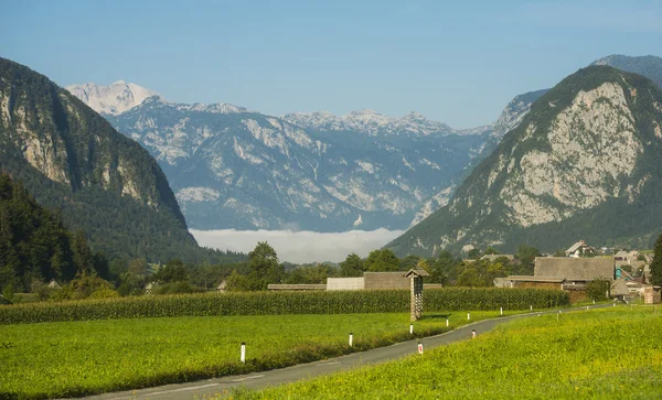 Bohinj, Jereka, Slovenië — Stockfoto