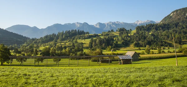 Бохінь, Jereka, Словенія — стокове фото