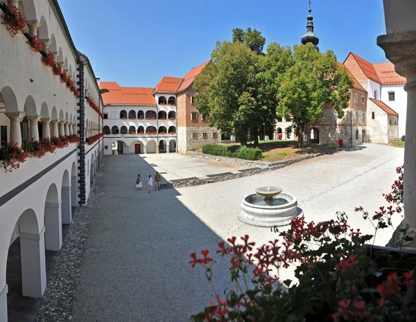 Monasterio en kostanjevica na krki — Foto de Stock