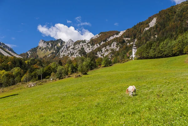 Ljubelj dağın geçmek, doğa, Slovenya