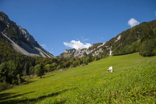 Ljubelj гірський перевал, природа, Словенія — стокове фото