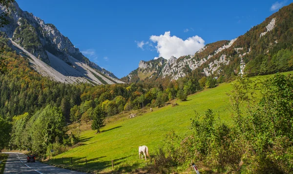 Ljubelj mountain pass, természet, Szlovénia — Stock Fotó