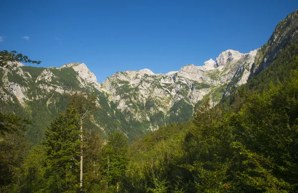 Kamnik saddle, Kamnik Savinja alps, Словения — стоковое фото