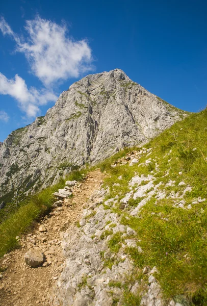 Sillín Kamnik, Alpes Kamnik Savinja, Eslovenia — Foto de Stock