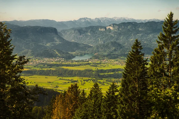 Uitzicht vanaf de zirovniska berg, Slovenië — Stockfoto