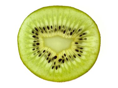 Beyaz arkaplanda Kiwi