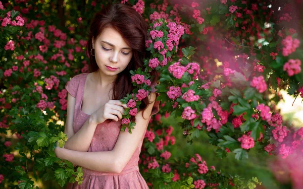 Jovem bela mulher bonita posando vestido de luxo contra arbustos com flores rosa em um dia ensolarado de verão. Vogue estilo moda retrato sensual — Fotografia de Stock