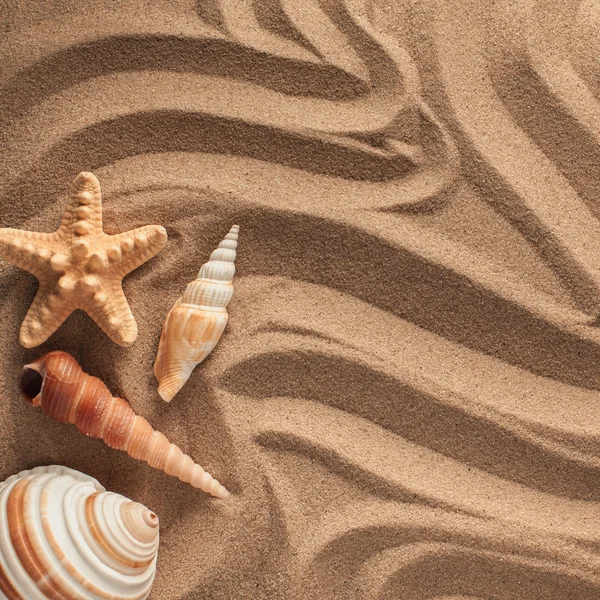 Verão. Fundo de verão. Acessórios de verão, conceito de verão. Starfish com areia como fundo. Textura de areia — Fotografia de Stock