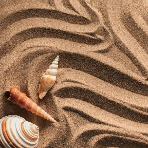 Seesterne und Muscheln mit Sand als Hintergrund. Sandstruktur — Stockfoto