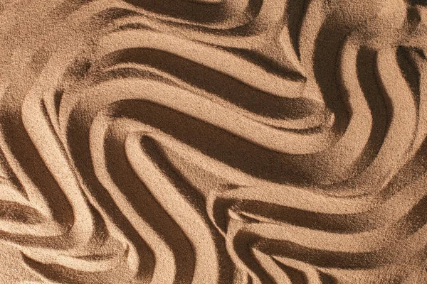 Zeester en schelpen met zand als achtergrond. Zand textuur — Stockfoto