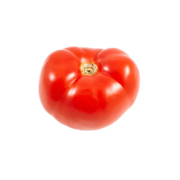 Une tomate. Tomate rouge sur fond blanc. Récoltez des légumes. Récolte d'automne . — Photo