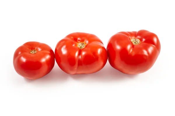 Une tomate. Tomate rouge sur fond blanc. Récoltez des légumes. Récolte d'automne . — Photo