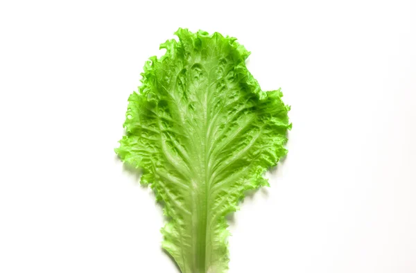 Sla op een witte achtergrond. Salade blad. Sla geïsoleerd op witte achtergrond. — Stockfoto