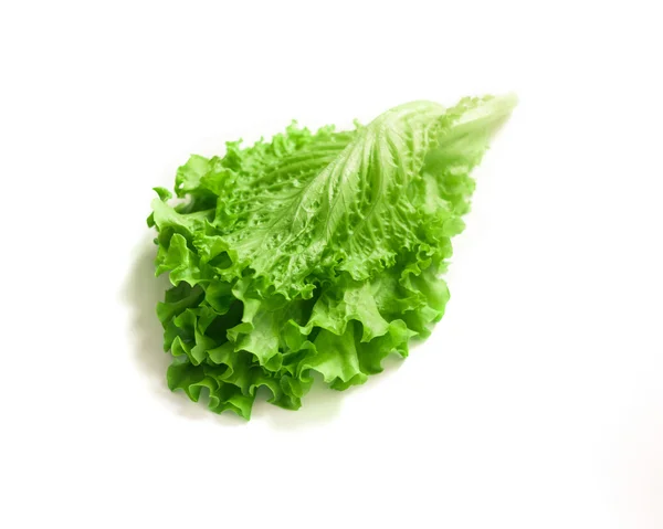 Sallad på vit bakgrund. Sallad blad. Sallad isolerad på vit bakgrund. — Stockfoto