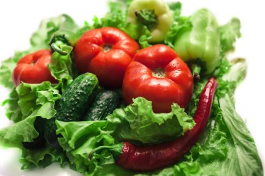  Sonbahar sebze. Hasat. Salata için malzemeler. Marul, domates, salatalık, kabak, patlıcan, biber, biber.