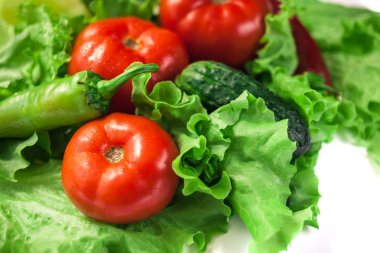  Sonbahar sebze. Hasat. Salata için malzemeler. Marul, domates, salatalık, kabak, patlıcan, biber, biber.