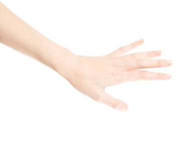 Kadın eli beyaz arka planda izole edilmiş. Beyaz kadının elinde semboller ve jestler var. Gevşek el.