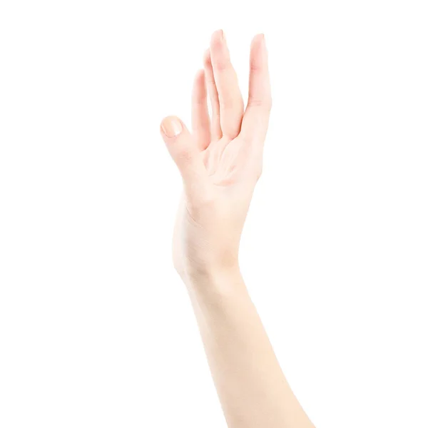 Женская Рука Изолирована Белом Фоне Рука Белой Женщины Показывает Символы — стоковое фото