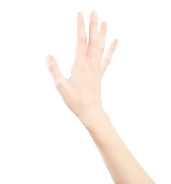 Vrouwelijke Hand Geïsoleerd Witte Achtergrond Hand Van Een Blanke Vrouw — Stockfoto