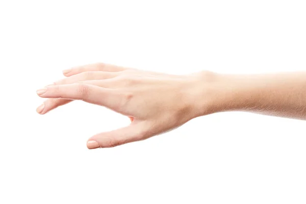 Γυναικείο Χέρι Απομονωμένο Λευκό Φόντο Χέρι Της Λευκής Γυναίκας Δείχνει — Φωτογραφία Αρχείου