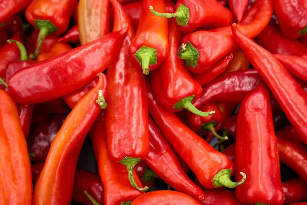 Fresh red chili pepper background. Many red peppers are put together. Red Chili Peppers For Sale At Market Stall. Hot spice.